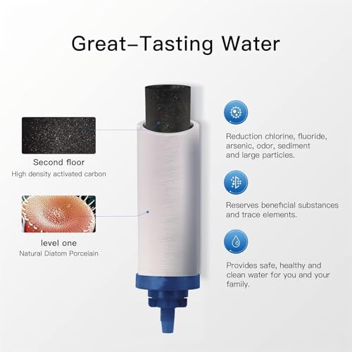 Image of 7 inch Ceramic Fluorine Filter, Replacement Filters for ProOne G2.0 Filters, ProOne Big+ or Big II Countertop Gravity Water Filter System and FACHIOO King Tank Series(Pack of 4)
