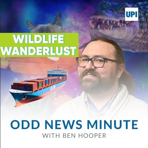 Special episode: Wildlife Wanderlust