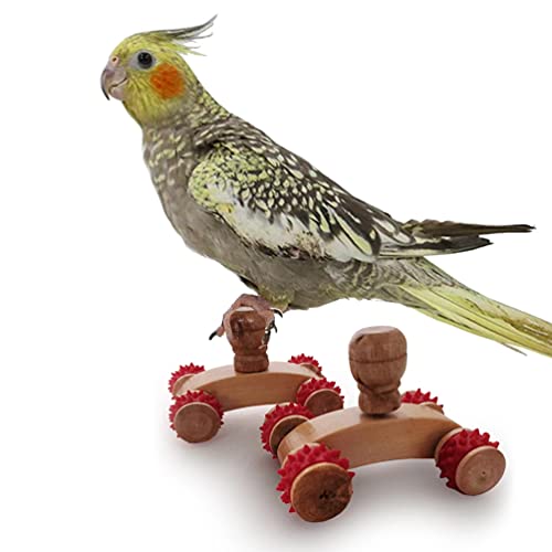 Aisennek Patins d'oiseau pour Animaux de Compagnie Jouet de Formation de poulie Patin d'oiseau Jouet d'entraînement Intelligent Jouets Puzzle pour Petit Parrot Bird Intelligence Formation (2 Sacs) Cover