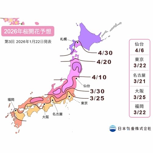 第437回｜2026櫻花前線開跑！沖繩已開花，東京三月見！
