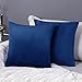 Deconovo Lot de 2 Housse de Coussin 50x50cm en Velours Taie d'oreiller Housse de Coussin Bleu Marine