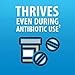 Florastor Baby Daily Probiotic Supplement, Powder Mixes with Milk, Formula or Soft Foods, Saccharomyces Boulardii CNCM I-745 (18 Powder Sticks)