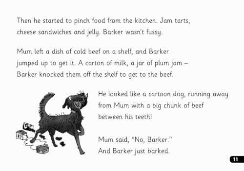 Read Write Inc - Phonics Set 6 Blue Story Books - Black and White Pack of 10