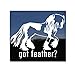 Got Feather? Gypsy Horse Trailer Vinyl Window Decal Sticker