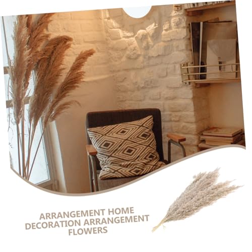 Ramo Natural de Flores Secas 15pcs Decoración Nórdica miniatura 7