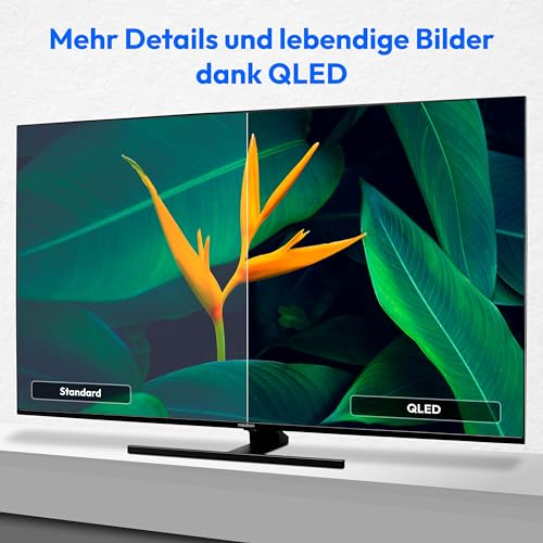 MEDION X15574 (MD 30987) 138,8 cm (55 Zoll) QLED Fernseher (Smart TV, 4K, Dolby Vision HDR, Dolby Atmos, Subwoofer, Netflix, Prime Video, PVR, Bluetooth, MEMC, Micro Dimming) – Bild 5