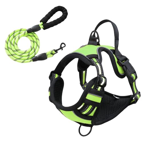 [Pakabi]pn[l, n[lX p ߉\ Ԕ ^/^/^ ʋC bVU p y S  h~ hbO P (O[X[c,L?)