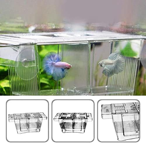 Image of VAYINATO Fish Breeding Box Tank Hatchery Incubator Aquarium Isolation Box For Baby Shrimp Guppy Fh-101 By Petzlifeworld