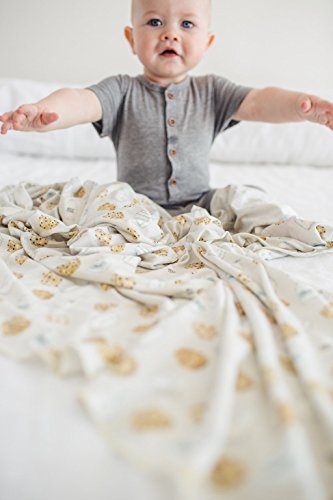 Image of Copper Pearl Swaddle Blankets for Newborns | Soft Stretchy Receiving Blankets for Boys and Girls | Large 46 x 46 Inch Baby Blankets | Lightweight and Breathable Swaddles | Chip