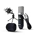 Marantz Pro MPM1000 - Studio Recording Condenser Microphone with Shockmount, Desktop Stand and Cable - Perfect for Podcasting and Voiceover Projects