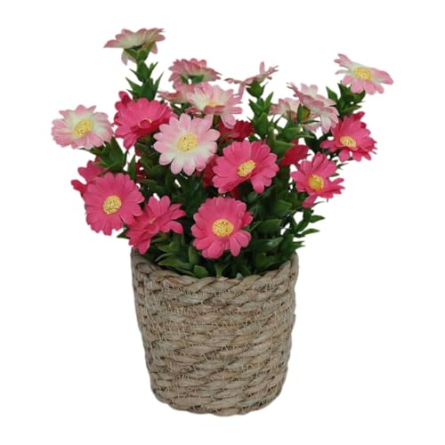 Zqkimzi  AAlHfCW[u[PAԕtԕrAtFCNfCW[AWgA~͐AؔAeiX̏ȂptFCNt[AWg