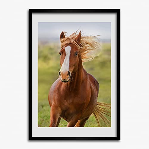 Photo affiche tableau cheval au galop avec grand cadre décoratif 50x70