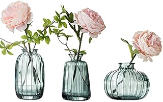 Small Glass Vase Set of 3 for Flowers Bud Vase Mini Vase Set for Table Decoration Home Decor Green