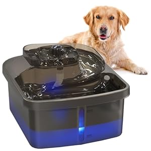 NPET Fuente de agua para perros, 7,5 L, dispensador automático de agua para perros, fuente de agua para mascotas para perros grandes y varias mascotas