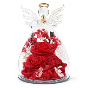 Gifts for Women Preserved Rose Forever Flower in Glass Angel Figurines Fresh Flowers for Delivery Prime Mothers Day Birthday Gifts for Mom Real Red Roses for Grandma Sister Wife Her from Daughter