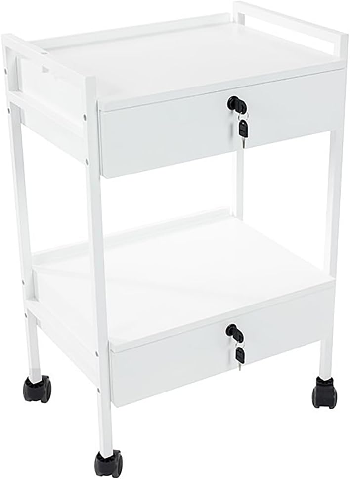 SKINACT Pro Medical Dental Mobile Utility Cabinet & Cart with Steel Frame and Two Drawer