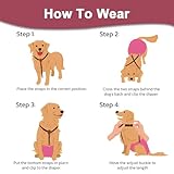 KEMUZ hundewindeln Clip hundewindel Pet Soft Hundewindel-Hosenträger,Hunde-Hosenträger, Hunde-Windelgeschirr, Hosenträger für Windeln, Damen, Welpen-Hosenträger, Bauchbänder, Haustier-Kleidung (C)