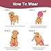 KEMUZ hundewindeln Clip hundewindel Pet Soft Hundewindel-Hosenträger,Hunde-Hosenträger, Hunde-Windelgeschirr, Hosenträger für Windeln, Damen, Welpen-Hosenträger, Bauchbänder, Haustier-Kleidung (C)