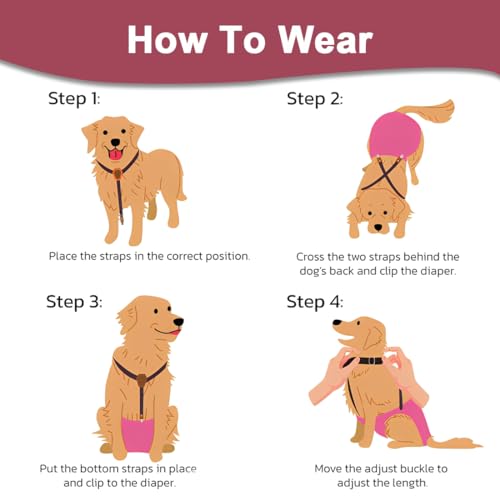 KEMUZ hundewindeln Clip hundewindel Pet Soft Hundewindel-Hosenträger,Hunde-Hosenträger, Hunde-Windelgeschirr, Hosenträger für Windeln, Damen, Welpen-Hosenträger, Bauchbänder, Haustier-Kleidung (C)