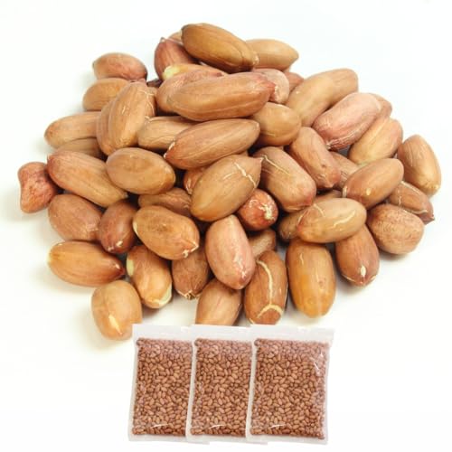 生ピーナッツ大粒1kg×3袋 南風堂 製菓原料 業務用大袋