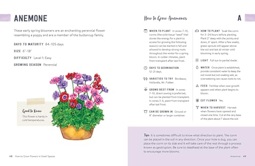 How to Grow Flowers in Small Spaces: An Illustrated Guide to Planning, Planting, and Caring for Your Small Space Flower Garden - Image 2