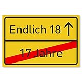 18 Geburtstag Schild - Lustige Geschenke oder Dekoration - Party Deko Geschenkideen für den 18 - Geschenk für Mädchen und Junge - 30x20 cm Kunststoff