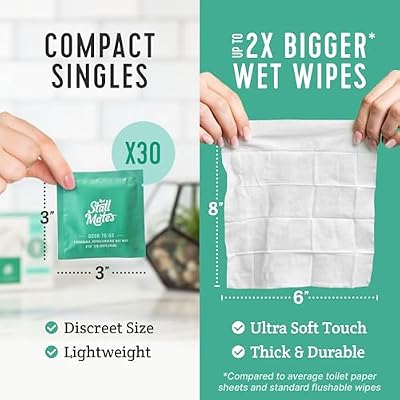 Stall Mates - Flushable Wipes, Individually Wrapped, Travel Friendly, Unscented with Cucumber, Vitamin-E & Aloe, (30 on-the-go singles)