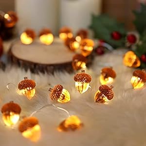 Decorative Fairy Acorn String Lights Thanksgiving Decoration Autumn Garland Cute Novelty Lights 30 LEDs 10 ft Battery Operated for Bedroom Wedding Birthday Harvest Decor Decorative Fairy Acorn String Lights Thanksgiving Decoration Autumn Garland Cute Novelty Lights 30 LEDs 10 ft Battery Operated for Bedroom Wedding Birthday Harvest Decor