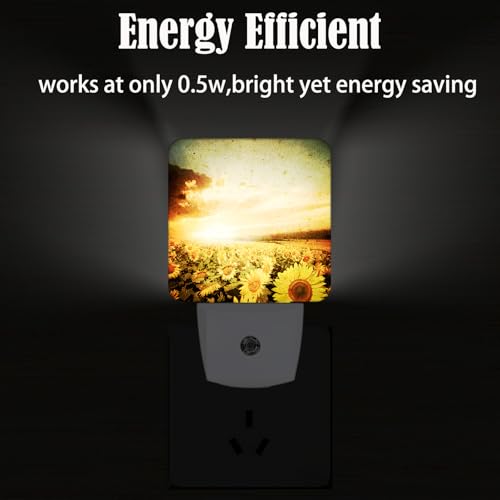 Image of Sunflower Field at Sunset Night Light,Plug Into Wall Decor for Stairway,Hallway,Kitchen,Dusk to Dawn Sensor Nightlights for Boys /Girls /Women /Men Room Gifts