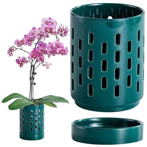 Macetas de orquídeas huecas con agujeros y platillos, maceta de orquídea de cerámica pequeña de 4 pulgadas, sembradora de orquídeas de drenaje y ventilación efectiva para macetas interiores/al aire l