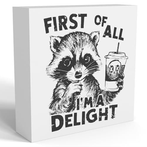 Funny Raccoon Decor Racoon Bathroom Decor Raccoon Ornament Raccoon Pet lovers Gift Racoon Gifts for Women Men Animal Gifts for Family Friends Wooden Box Sign for Home Office Shelf Desk Decor