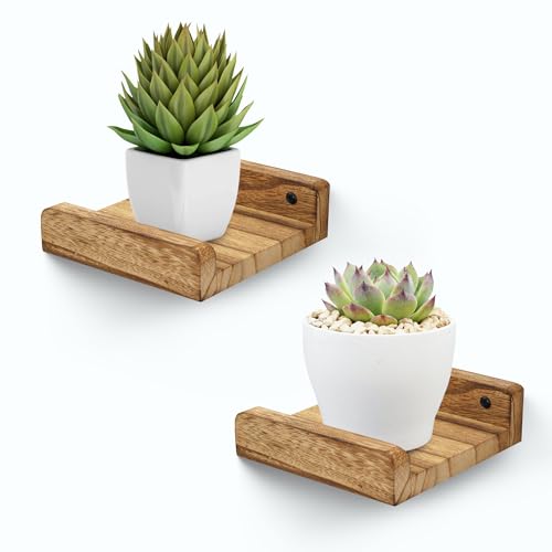 FURAOMEILI Kleine Wandregale Mini-Schweberegal mit Rand Ablageleiste Lautsprecherregal 2er-Set für Bilderrahmen Pflanzen Deko für Wohnzimmer Küche Schlafzimmer Holz 13cm karbonisiert Schwarz