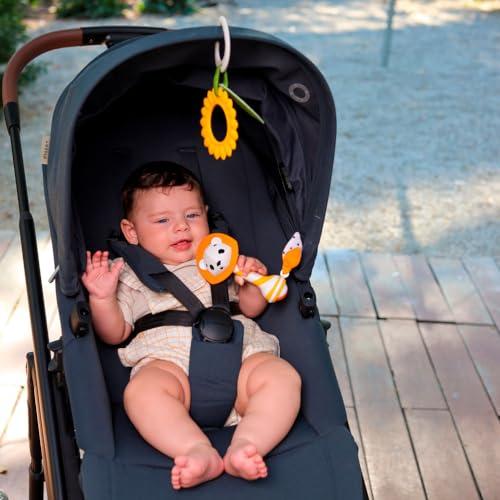 Tiny Love, Caixa Presente Primeiros Brinquedos Gift Set, Meadow Days