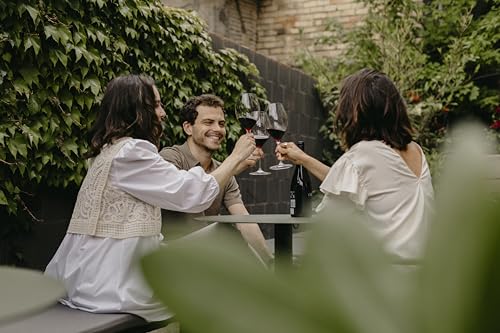 Azpilicueta Instinto D.O.Ca Rioja Vino