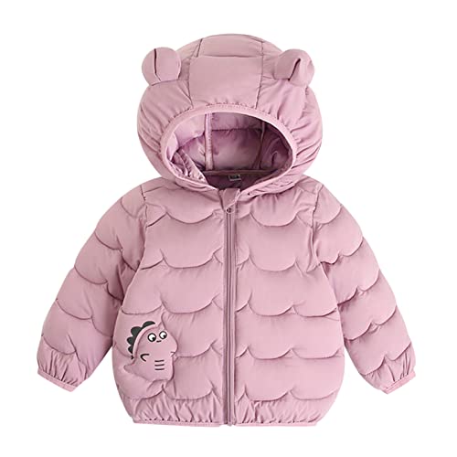 AIMAOMI Baby Toddler Boys Girls Winter Jacket Coat Warm Clothes Kids Fashion Long Sleeve Hoodie Outerwear Hoodie (Purple, 4-5 Years)