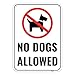 Produktbild No Dogs Allowed 35,6 x 25,4 cm