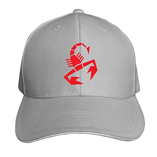 FJKHNDNZ Pwanbbprx Kauhnumtrel Gphysifdxts Casquette Cover