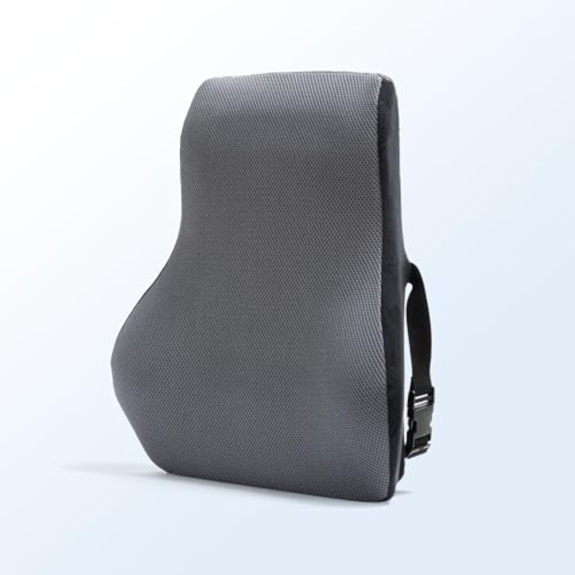 ErgoCore Back Rest Cushion, Memory Foam Lumbar Support Pillow