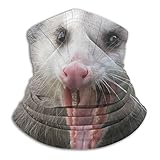 antkondnm Opossum Possum Unisex Neck Warmer Face Mask Bandanas Outdoors Soft Microfiber Headwear
