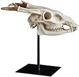 1.Steilen: Größe: A: Länge 22 * ​​□□ High 24 cm, B: 11cm * 41 cm / Material: Hohes Harz / Gewicht: A: 645g, B: 702g.