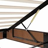 vidaXL Ottoman-Bett ohne Matratze Dunkelbraun 120x200 cm Stoff, Bettrahmen, Bettgestell mit Stauraum, Polsterbett, Bettgestell