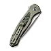 WE Knife WE19002N-2 Green Titanium Handle with Jungle Wear Fat Carbon Fiber Inlay