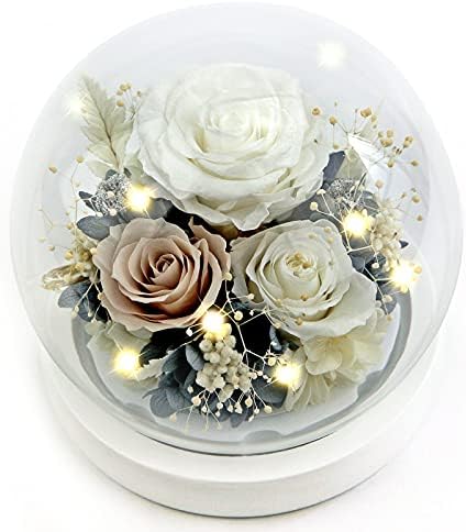Kylin Glory Forever Flowers Real Eternal Roses Preserved Flowers Gift with LED Mood Lights for Valentine's Day Birthday Anniversary, Elegant Present for Girlfriend Wife Mom Women (Pearl White)