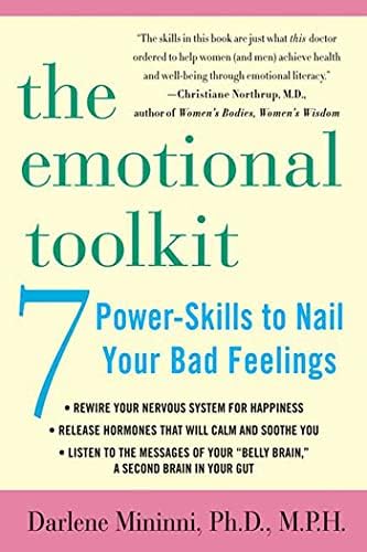 The Emotional Toolkit: Seven Power-Skills to Nail Your Bad Feelings Paperback – January 24, 2006