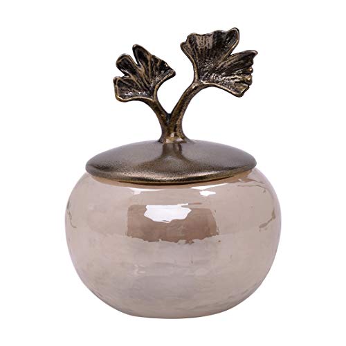 Cotton Jar with Lid in Glass and Metal Black Luster Gold Finish for Bathroom Decor Cotton SwabHolder, Q-Tip Container Bath Accessory (Gingko)