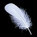 Sowder Natural Goose Feathers Clothing Accessories Pack of 100(White)