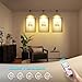 JOOSENLUX Spot Lights Indoor 3-Pack Wireless Rechargeable LED Rechargeable Plant Spotlight with Remote, Adjustable Arm, Black Wall Mount Uplighting for Art Gallery, Bedroom & Living Room Decor