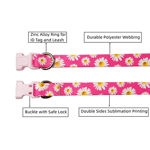 Olahibi ORTCI Dog Collar And Leash Set thumb #2