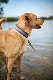HUNTER Hundehalsband Havanna, Farbe: Taupe/Rauchblau, Strukturgewebe mit Kunststoffummantelung, breit, komfortabel, langlebig, reißfest, witterungsbeständig, pflegeleicht, Gunmetal-Look, Größe: 55