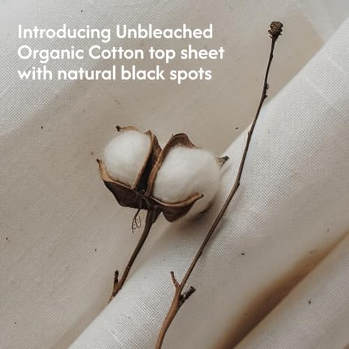 Anandi sanitary pads for women 12 XXL & 18 XL Pads | Biodegradable Organic pads with Disposal pouch | Certified ~100% Compostable - Image 2